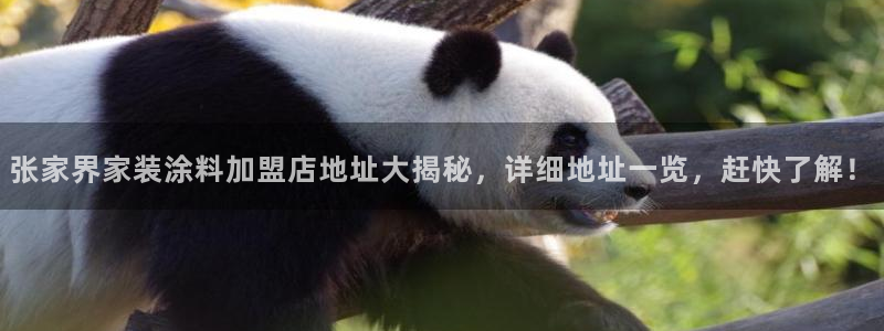 和记ag捕鱼害死多少人：张家界家装涂料加盟店地址大揭秘，详细地址一览，赶快了解！