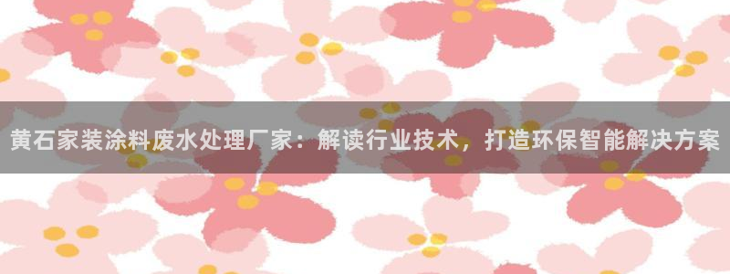 和记官方直营：黄石家装涂料废水处理厂家：解读行业技术，打造环保智能解决方案