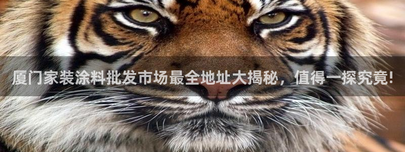 和记h8：厦门家装涂料批发市场最全地址大揭秘，值得一探究竟!