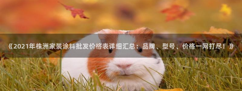 下载和记app：《2021年株洲家装涂料批发价格表详细汇总：品牌、型号、价格一网打尽！》