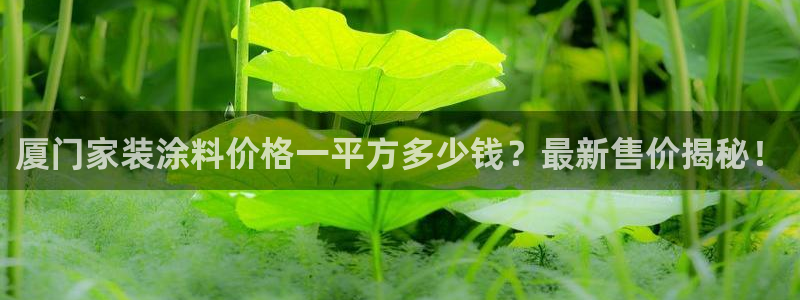 和记AG旗舰：厦门家装涂料价格一平方多少钱？最新售价揭秘！