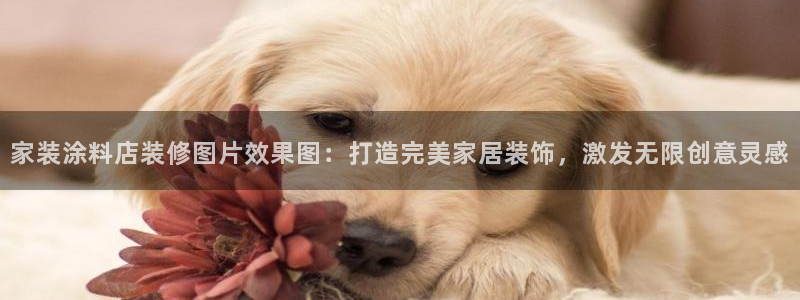 江苏和记数码科技有限公司：家装涂料店装修图片效果图：打造完美家居装饰，激发无限创意灵感