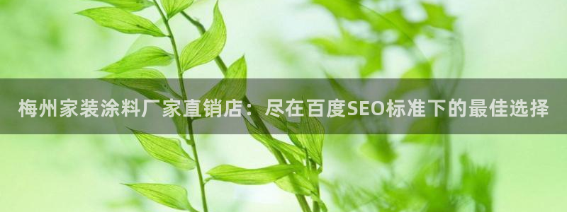 上海和记餐饮：梅州家装涂料厂家直销店：尽在百度SEO标准下的最佳选择