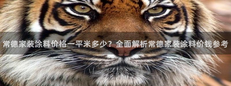 和记平台下载：常德家装涂料价格一平米多少？全面解析常德家装涂料价钱参考