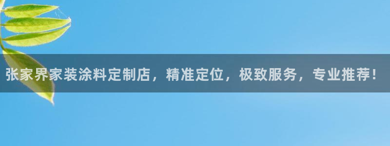 和记平台官网：张家界家装涂料定制店，精准定位，极致服务，专业推荐！