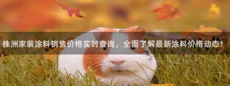 和记最新官方网址：株洲家装涂料销售价格实时查询，全面了解最新涂料价格动态！