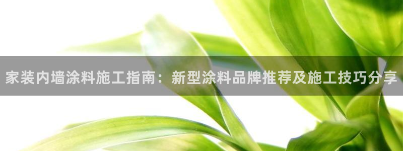 和记官网[中国]官方网站：家装内墙涂料施工指南：新型涂料品牌推荐及施工技巧分享