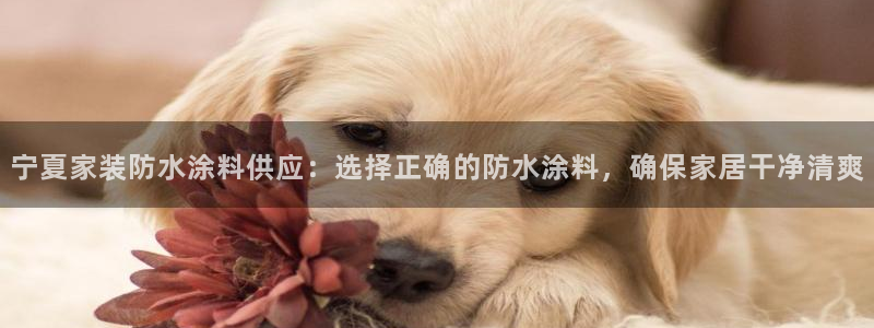 和记国际开户：宁夏家装防水涂料供应：选择正确的防水涂料，确保家居干净清爽