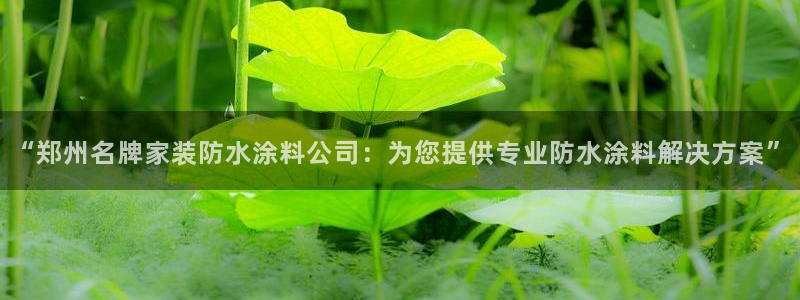 和记h8：“郑州名牌家装防水涂料公司：为您提供专业防水涂料解决方案”