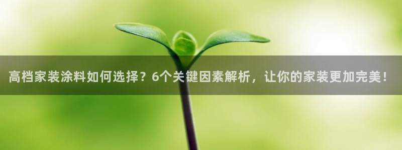 和记paging：高档家装涂料如何选择？6个关键因素解析，让你的家装更加完美！