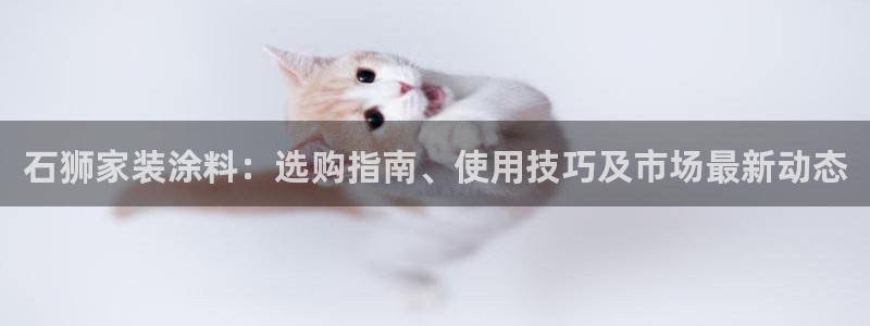和记官网首页：石狮家装涂料：选购指南、使用技巧及市场最新动态