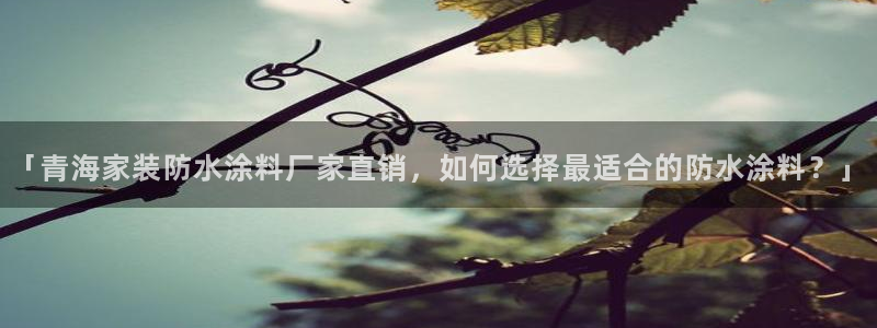 和记官方直营注册导航：「青海家装防水涂料厂家直销，如何选择最适合的防水涂料？」
