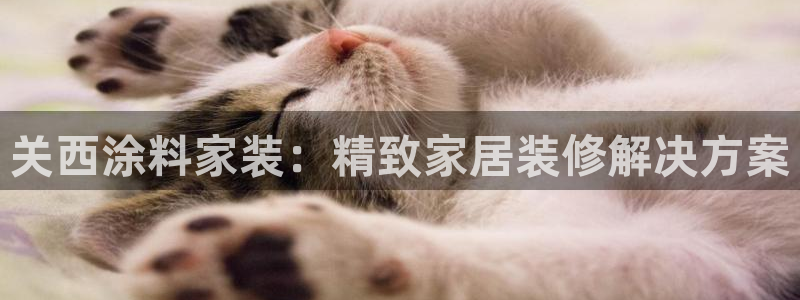 和记旗舰厅：关西涂料家装：精致家居装修解决方案