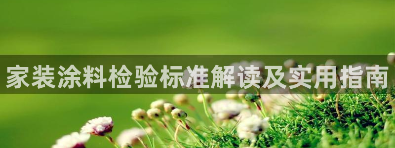 和记官网登录：家装涂料检验标准解读及实用指南