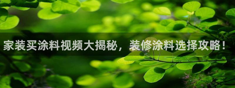 和记官方网址：家装买涂料视频大揭秘，装修涂料选择攻略！