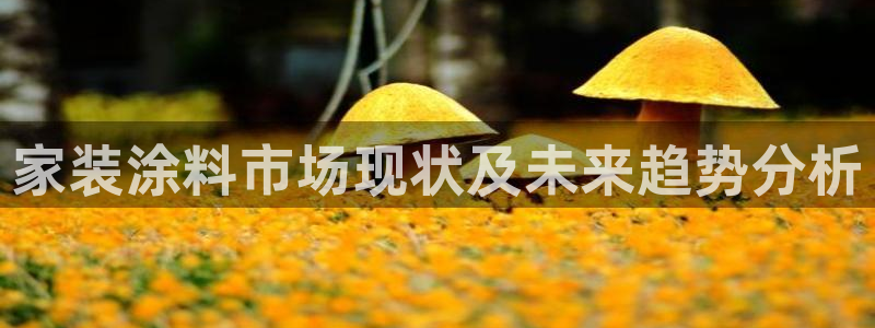 和记ag旗舰厅：家装涂料市场现状及未来趋势分析