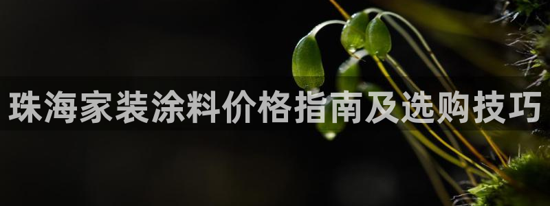 和记国际客服：珠海家装涂料价格指南及选购技巧