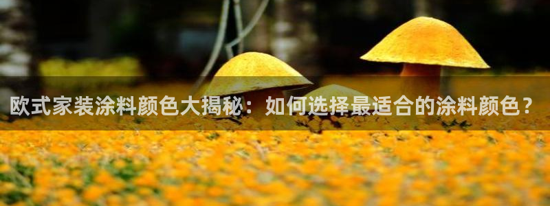 和记ag网页版：欧式家装涂料颜色大揭秘：如何选择最适合的涂料颜色？
