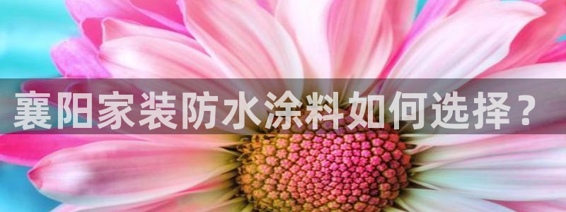 青岛大生和记餐饮管理有限公司