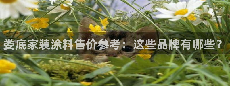 和记pc