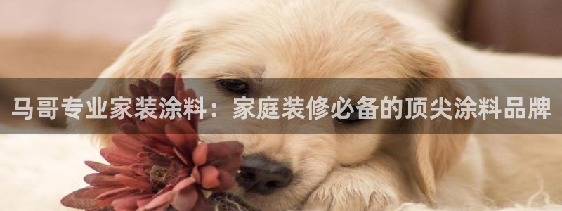 和记Ag