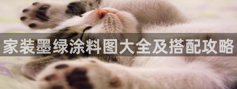 和记国际官网官网：家装墨绿涂料图大全及搭配攻略