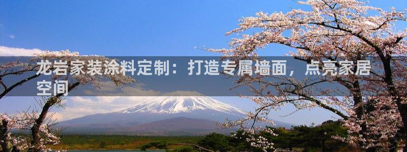 和记官方直营注册：龙岩家装涂料定制：打造专属墙面，点亮家居
空间