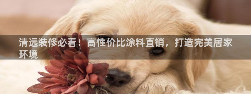 和记网页