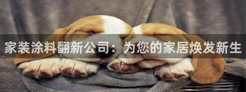 和记国际听
