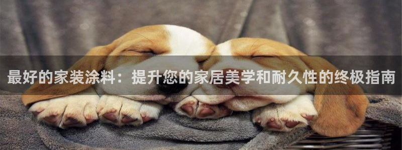 和记h188：最好的家装涂料：提升您的家居美学和耐久性的终极指南