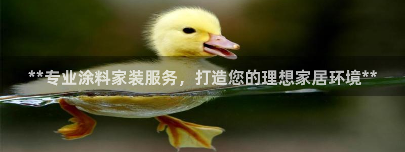 和记国际