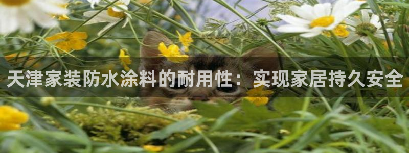 和记ag登录：天津家装防水涂料的耐用性：实现家居持久安全