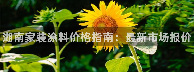 下载和记app：湖南家装涂料价格指南：最新市场报价
