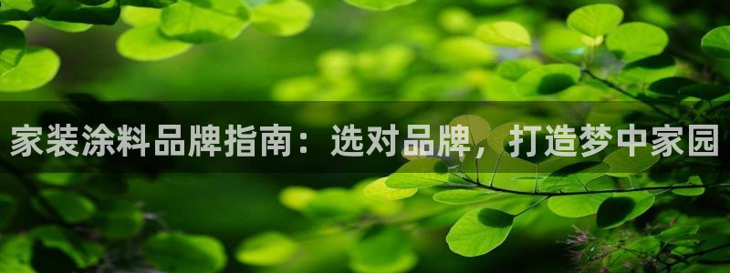 和记官网 公司：家装涂料品牌指南：选对品牌，打造梦中家园