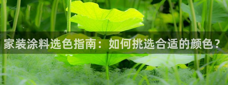和记app官网