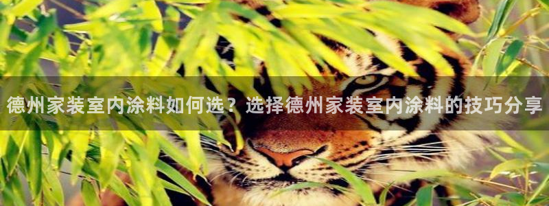 ag和记app