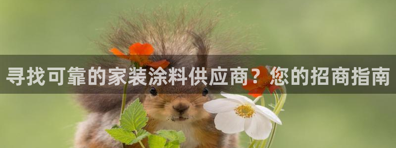 和记官方平台：寻找可靠的家装涂料供应商？您的招商指南