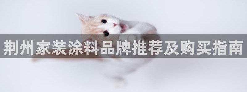 和记下载：荆州家装涂料品牌推荐及购买指南