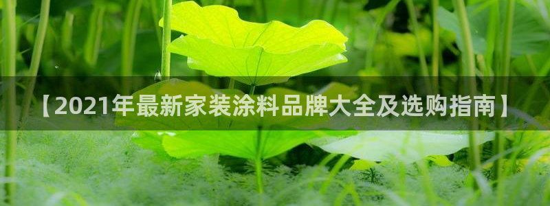 和记ag旗舰厅app：【2021年最新家装涂料品牌大全及选购指南】