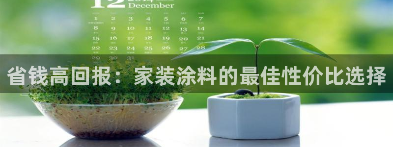 和记旗舰厅：省钱高回报：家装涂料的最佳性价比选择