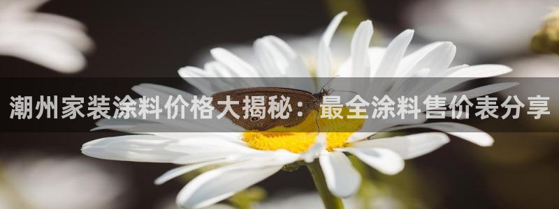 和记平台登陆：潮州家装涂料价格大揭秘：最全涂料售价表分享