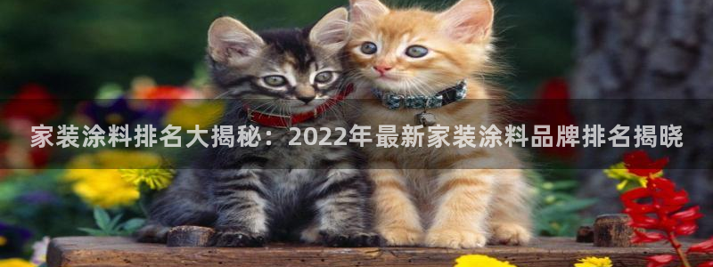 和记 中国首页：家装涂料排名大揭秘：2022年最新家装涂料品牌排名揭晓
