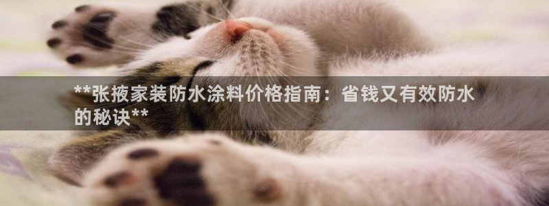 上海和记餐饮：**张掖家装防水涂料价格指南：省钱又有效防水
的秘诀**