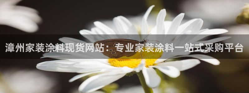 和记网页版：漳州家装涂料现货网站：专业家装涂料一站式采购平台