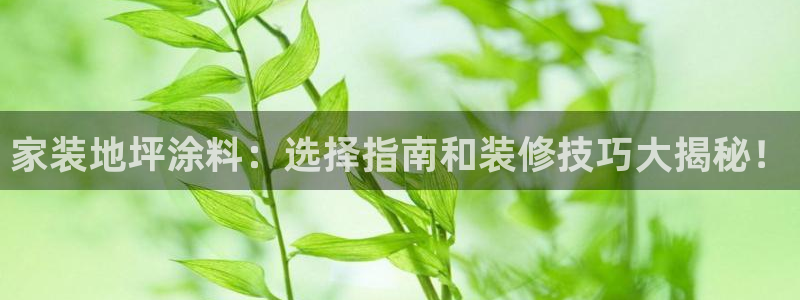 和记官方网址：家装地坪涂料：选择指南和装修技巧大揭秘！