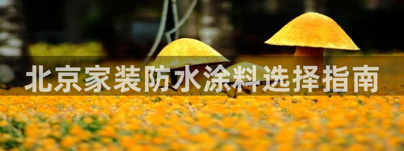 和记旗舰厅：北京家装防水涂料选择指南