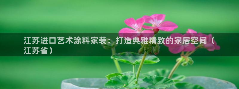 和记广告女主角：江苏进口艺术涂料家装：打造典雅精致的家居空间（
江苏省）