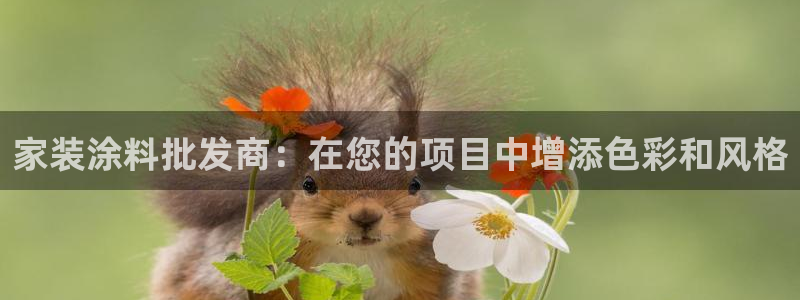和记官网 公司：家装涂料批发商：在您的项目中增添色彩和风格