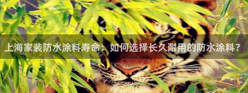 和记ag旗舰厅：上海家装防水涂料寿命：如何选择长久耐用的防水涂料？