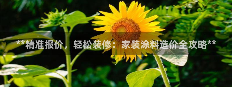 和记娱好网址：**精准报价，轻松装修：家装涂料造价全攻略**
